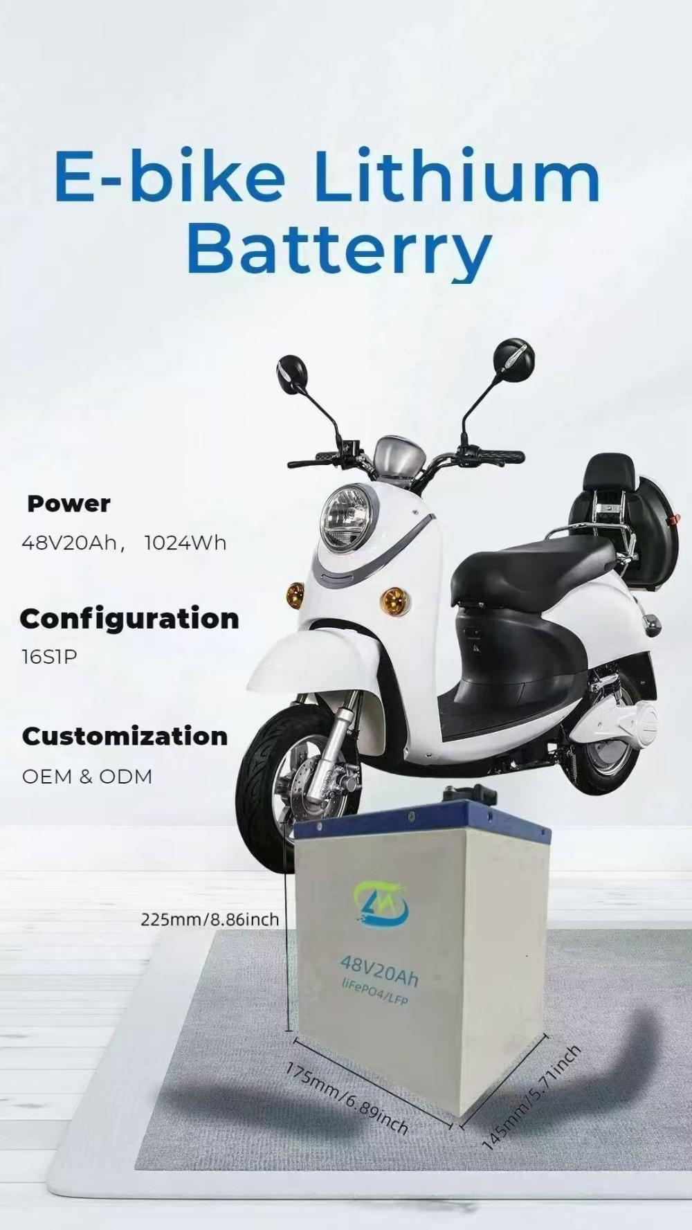  LiFePO4 Battery for Electric Bikes