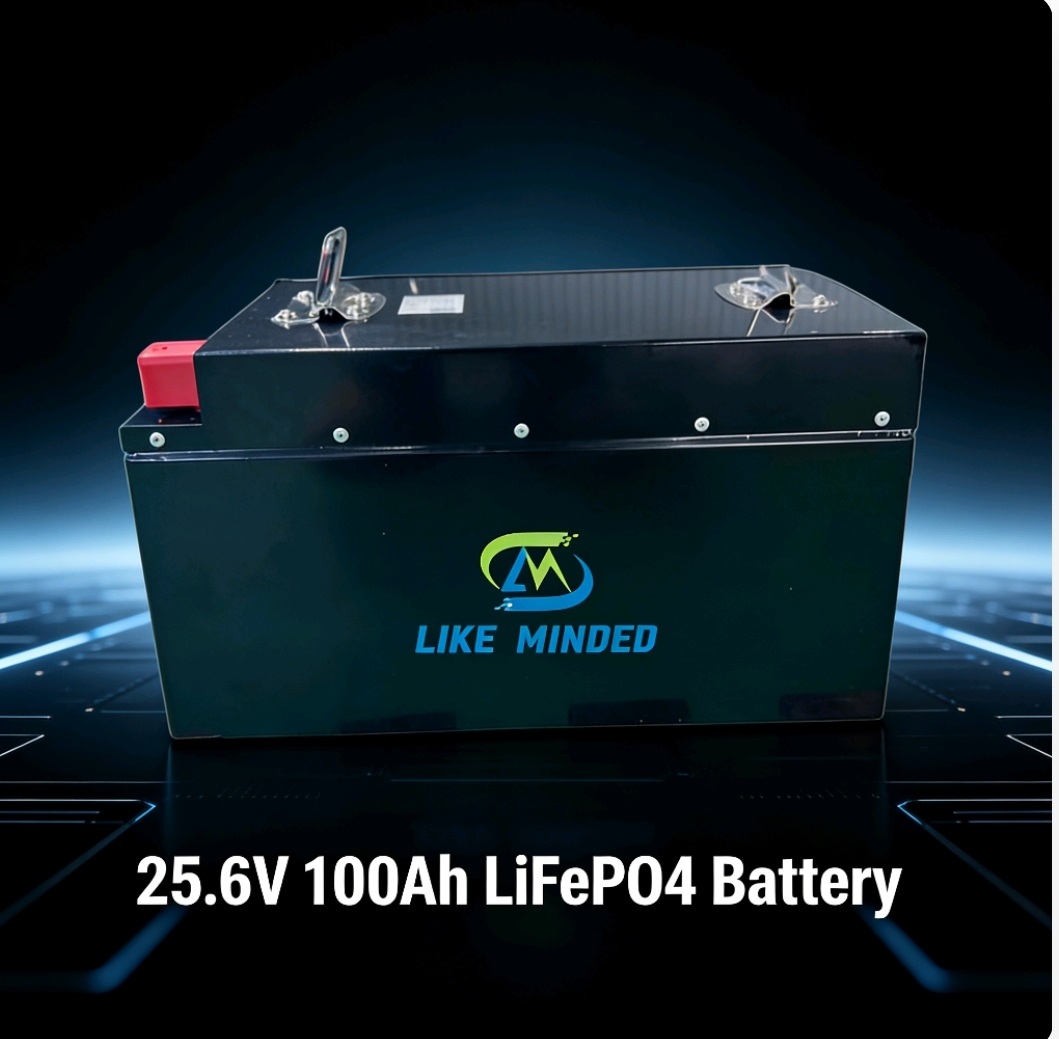25.6V 100Ah Lithium Iron Phosphate Battery